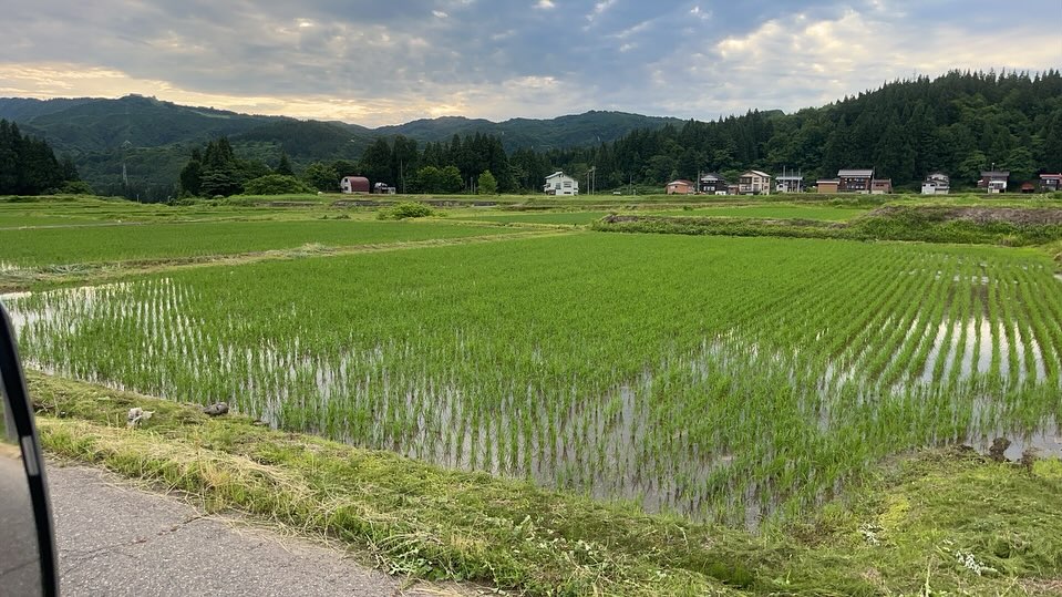 こめ、つくります。